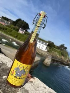 Domaine des 2 Anes Limo d'Anes Rose NV